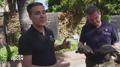 Die Tier-Docs! Pfotenhelden mit Herz: Staffel 2 Folge 15 Baby-Alarm im Loro Parque Die Tier-Docs! Pfotenhelden mit Herz: Staffel 2 Folge 15 Baby-Alarm im Loro Parque