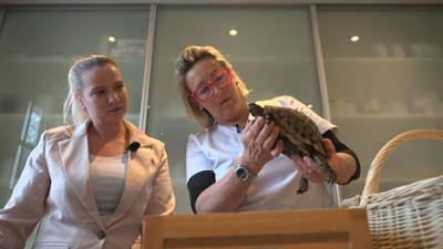 Die Tier-Docs! Pfotenhelden mit Herz: Schildkrötenfamilie auf dem Untersuchungstisch