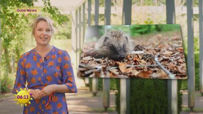 Frühstücksfernsehen: Staffel 2022, Folge 166: Saubere Umwelt als Menschenrecht