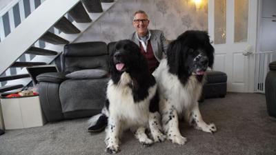 Hunde außer Kontrolle - Ein Coach für alle Felle: Staffel 4 Folge 1 Ein Profischwimmer