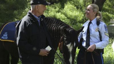 Navy CIS: Staffel 14 Folge 22 Der Pferdeflüsterer Navy CIS: Staffel 14 Folge 22 Der Pferdeflüsterer