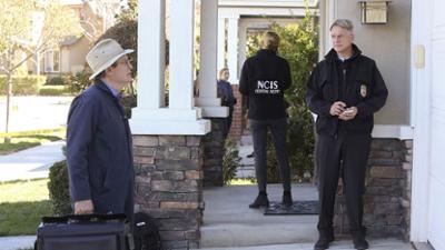 Navy CIS: Staffel 12 Folge 18 Die Spinne im Netz