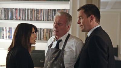 Navy CIS: Staffel 12 Folge 20 Der tote Samariter