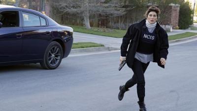 Navy CIS: Staffel 14 Folge 12 Spears ist wieder da Navy CIS: Staffel 14 Folge 12 Spears ist wieder da