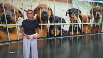:newstime: vom 4. August 2026 | 19:45