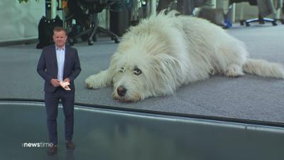 :newstime: vom 11. Juni 2026 | 19:45
