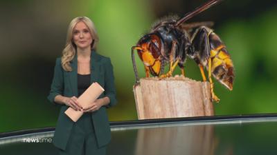:newstime: vom 12. Mai 2026 | 19:45
