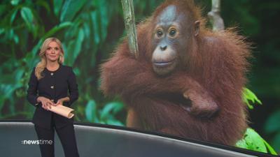 :newstime: vom 19. August 2025 | 19:45 :newstime: vom 19. August 2025 | 19:45