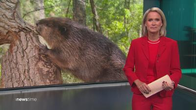 :newstime: vom 21. Oktober 2025 | 19:45