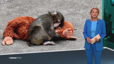 :newstime: vom 22. Februar 2026 | 19:55