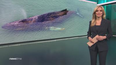 :newstime: vom 24. März 2026 | 19:45