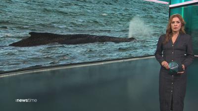 :newstime: vom 25. März 2026 | 19:45