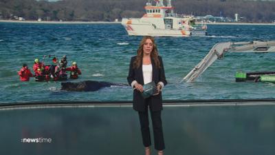 :newstime: vom 26. März 2026 | 19:45