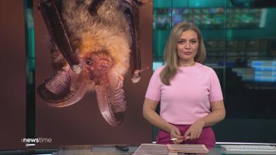 :newstime: vom 29. August 2026 | 19:55 Uhr