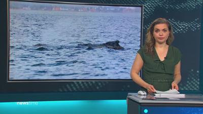 :newstime: vom 30. März 2026 | 6:25