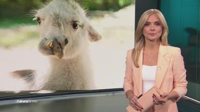 :newstime: vom 30. April 2026 | 19:45