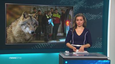:newstime: vom 31. März 2026 | 06:25