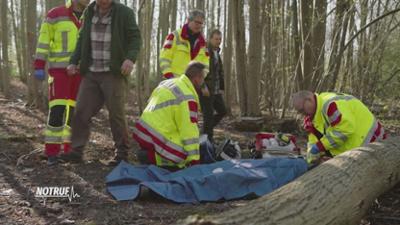 NOTRUF: Staffel 3 Folge 169 Vom Baum begraben