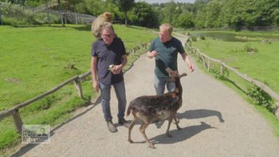 Praxis Dr. Dreesen - Ein Hof für Tiere: Staffel 9 Folge 2 Im Zoo sind die Affen los
