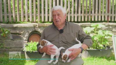 Praxis Dr. Dreesen - Ein Hof für Tiere: Zu Besuch bei süßen Jack Russell Terrier Welpen