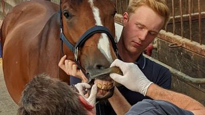 Praxis Dr. Dreesen - Ein Hof für Tiere: Kleintiersprechstunde bei Dr. Dreesen