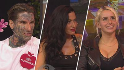 Promi Big Brother: Seine ganze Wahrheit: Nicola Grey im Exit-Interview