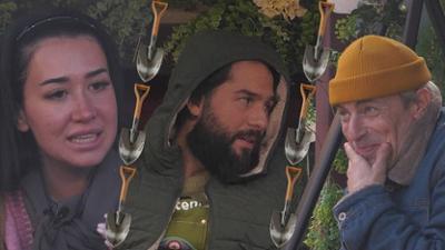 Promi Big Brother: Tag 14: Gedeon Burkhards kinky Welt und Francesca Morgese: Täterin oder Opfer?