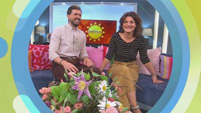 SAT.1-Frühstücksfernsehen: "Manche Wunder verkleiden sich als Montag"