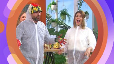 SAT.1-Frühstücksfernsehen am Samstag: Bunte Sendung zum Samstag mit Haar-Tipps, Knollenkunde und mehr