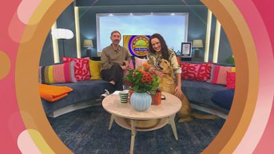 SAT.1-Frühstücksfernsehen am Sonntag: Staffel 5 Folge 39 Buntes Programm am Sonntag SAT.1-Frühstücksfernsehen am Sonntag: Staffel 5 Folge 39 Buntes Programm am Sonntag