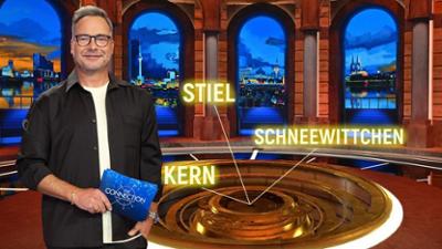 The Connection: Die neue Quiz-Show in SAT.1: Hier ist alles miteinander verbunden!