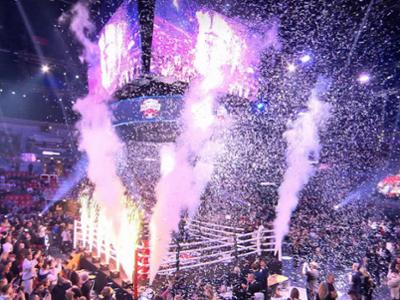 The Great Fight Night: Show-Highlights