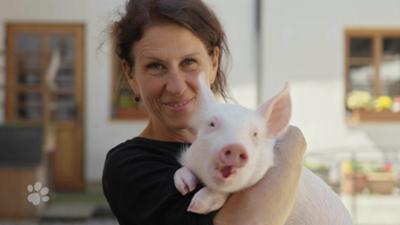 Beste Freunde: Schweinchen am Filmset