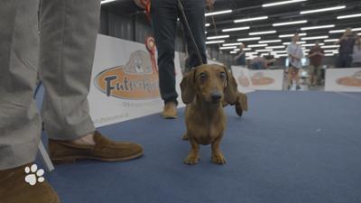 Beste Freunde: Wer ist der Schönste?