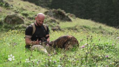 Beste Freunde: Mit dem Hund am Berg
