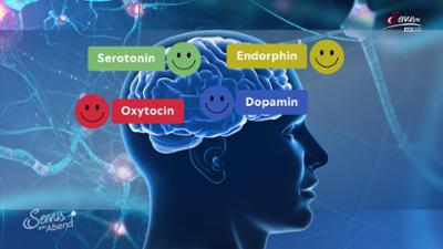 Carpe Diem: Natürlich gsund: Ins Glück essen?