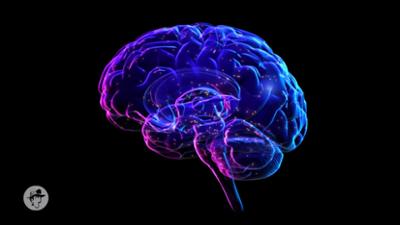 Der Pragmaticus: Digitaler Dopamin-Kick