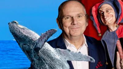 Der Wegscheider: Wal von rechts?