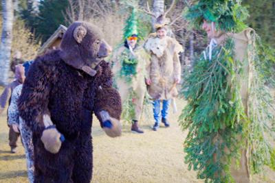 Die Bären sind los: Doku