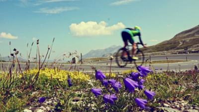 Entstehung der Alpen: Bis an die Grenzen