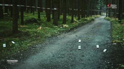 Fahndung Österreich: Mord im Mafiamilieu