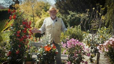 Gartln mit Starkl: Klimaschonend gartln