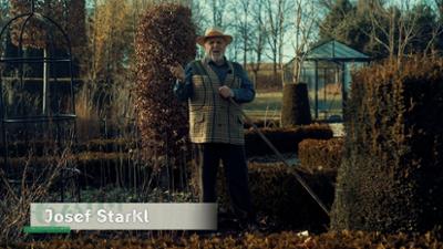 Gartln mit Starkl: Rasenpflege und Gemüse