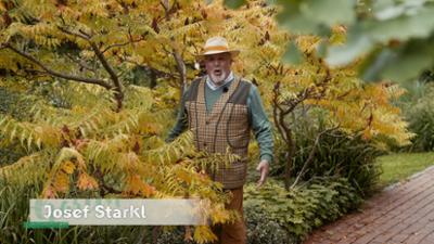 Gartln mit Starkl: Herbstzauber im Garten 