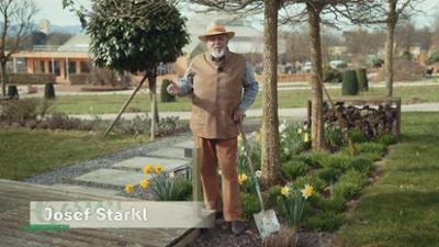 Gartln mit Starkl: Kübelpflanzen, Sommerblumen