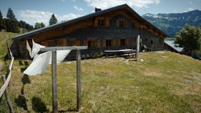 Heimatbilder: Almleben