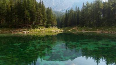 Heimatbilder: Naturwunder Grüner See