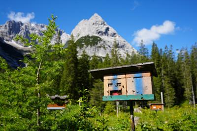 Heimatleuchten: Frühling im Inntal