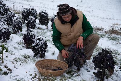 Heimatleuchten: So schmeckt der Winter 