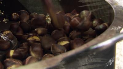 Heimatleuchten: Ein Jahr in Osttirol